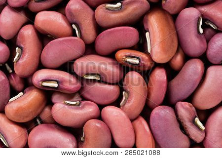 High Quality Seeds Of Vigna, Legumes In A Texture Form For Your Garden. Can Be Used By Seed Producer
