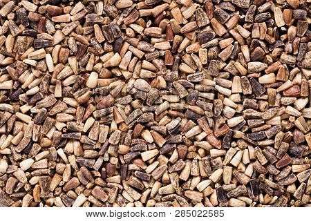 High Quality Seeds Of Chicory, In A Texture Form For Your Garden. Can Be Used By Seed Producers For 