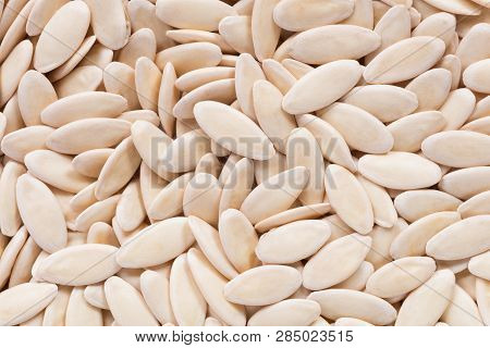 High Quality Seeds Of Cucumber, Pumpkin In A Texture Form For Your Awesome Garden. Can Be Used By Se