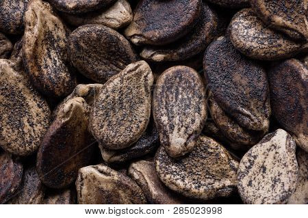 High Quality Seeds Of Watermelon, Pumpkin In A Texture Form For Your Unique Garden. Can Be Used By S