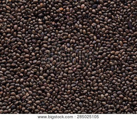 High Quality Seeds Of Savory, In A Texture Form For Your Unique Garden. Can Be Used By Seed Producer