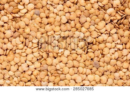 High Quality Seeds Of Eggplant, Vegetable In A Texture Form For Your Awesome Garden. Can Be Used By 