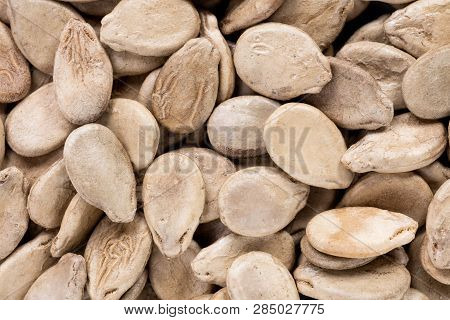 High Quality Seeds Of Watermelon, In A Texture Form For Your Perfect Garden. Can Be Used By Seed Pro