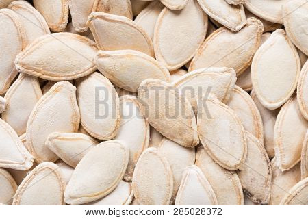 High Quality Seeds Of Zucchini, Vegetable In A Texture Form For Your Unique Garden. Can Be Used By S
