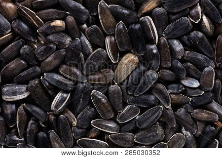 High Quality Seeds Of Decorative Sunflower, In A Texture Form For Your Beautiful Garden. Can Be Used