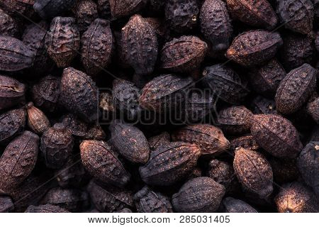 High Quality Seeds Of Mirabilis, Flower In A Texture Form For Your Personal Garden. Can Be Used By S