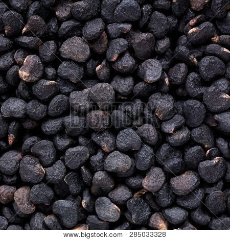 High Quality Seeds Of Datura, Flower In A Texture Form For Your Personal Garden. Can Be Used By Seed