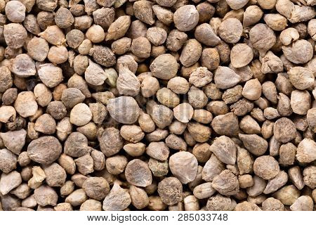 High Quality Seeds Of Spinach, In A Texture Form For Your Personal Garden. Can Be Used By Seed Produ