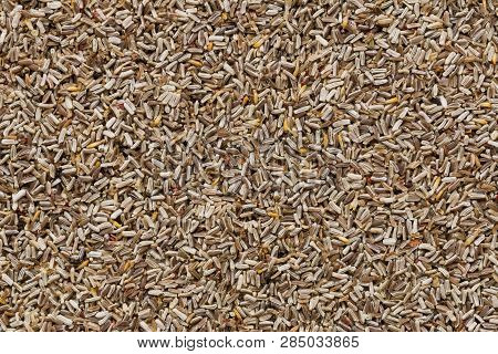 High Quality Seeds Of Gentle Camomile, Flower In A Texture Form For Your Personal Garden. Can Be Use