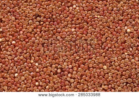 High Quality Seeds Of Amaranthus, Flower In A Texture Form For Your Personal Garden. Can Be Used By 