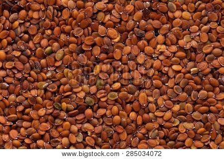 High Quality Seeds Of Alyssum, Flower In A Texture Form For Your Unique Garden. Can Be Used By Seed 