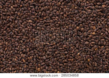 High Quality Seeds Of Agastache, Flower In A Texture Form For Your Adorable Garden. Can Be Used By S