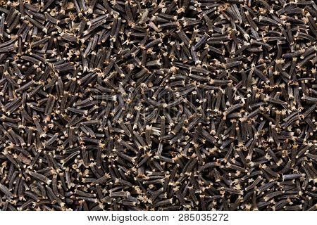 High Quality Seeds Of Ageratum, Flower In A Texture Form For Your Adorable Garden. Can Be Used By Se