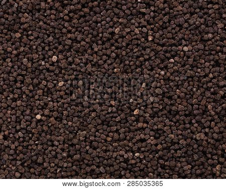 High Quality Seeds Of Antirrhinum, Flower In A Texture Form For Your Adorable Garden. Can Be Used By