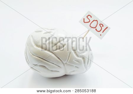 Human Brain Is Next To Placard With Inscription Sos. Brain Requires Care Or Medical Treatment By Doc