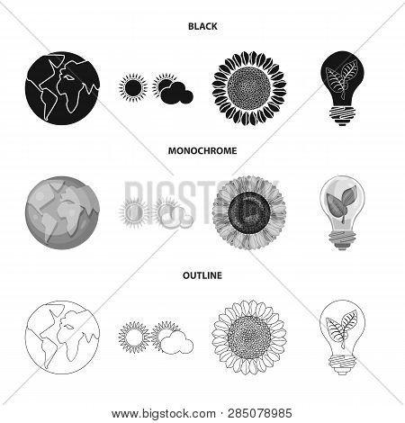 Vector Illustration Of Innovation And Technology  Symbol. Collection Of Innovation And Nature  Vecto