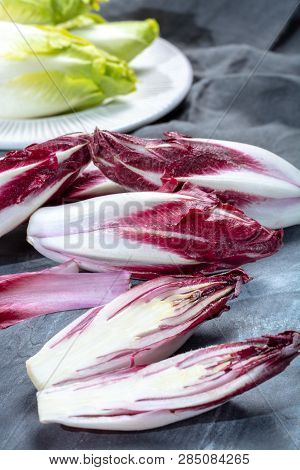 Group Of Fresh Green Belgian Endive Or Chicory And Red Radicchio Vegetables, Also Known As Witlof Sa