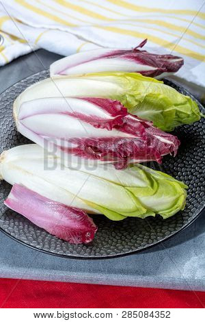 Group Of Fresh Green Belgian Endive Or Chicory And Red Radicchio Vegetables, Also Known As Witlof Sa