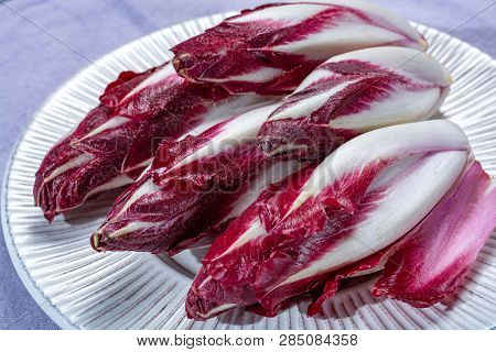Group Of Fresh Red Radicchio Chicory Or Belgian Endive Vegetables, Also Known As Witlof Salade