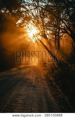 Tyndall Effect Caused By Sun Rays On Dusty Road. Orange Sunbeams. Stunning Road Full Of Sun Rays