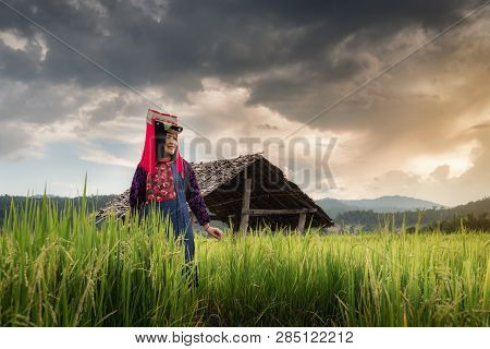 Portrait Of Woman Tribal Lisu In Traditional Clothing And Jewelry Costume In Rice Fields., Lifestyle