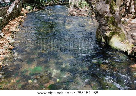 Agios Nikolaos Park Naousa Greece Europe