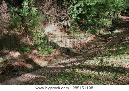 Agios Nikolaos Park Naousa Greece Europe
