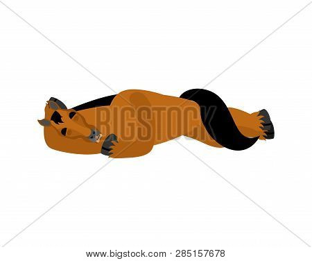 Horse Sleeping. Steed Asleep Emotions. Hoss Dormant. Vector Illustration