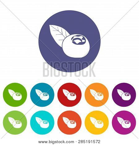 Cranberry Icons Color Set Vector For Any Web Design On White Background