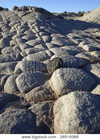 Skakternet Slickrock
