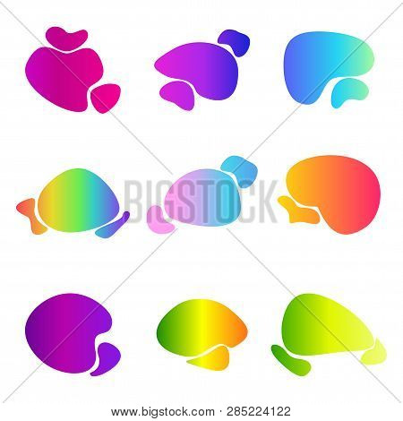 Abstract Vector Fluid Bright Gradient Iridescent Shapes
