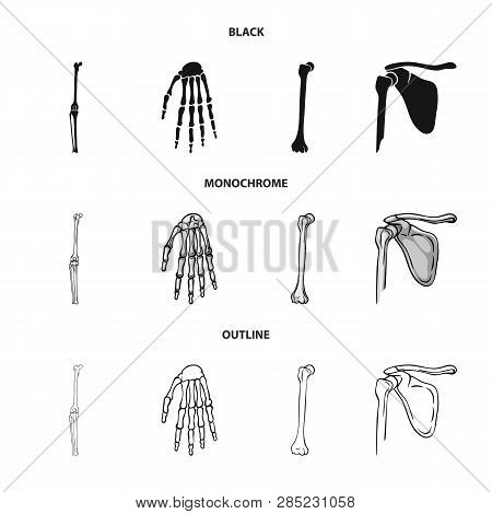Vector Design Of Medicine And Clinic Sign. Set Of Medicine And Medical Stock Vector Illustration.