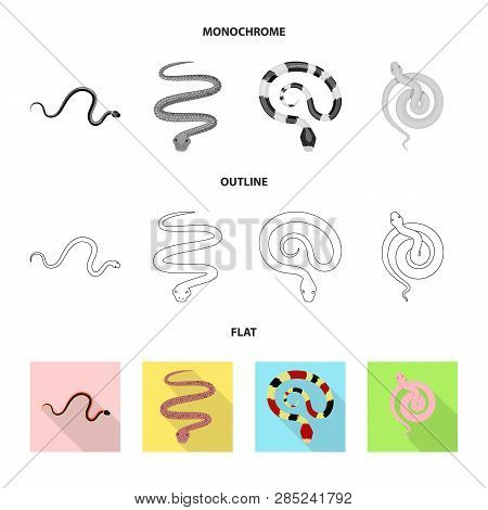 Vector Design Of Mammal And Danger Icon. Set Of Mammal And Medicine Stock Vector Illustration.