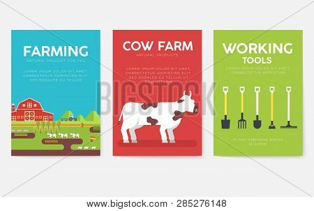 Farm Information Cards Set. Nature Template Of Flyear, Magazines, Posters, Book Cover, Banners. Eco 