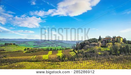 Radi Village, Hills, Olive Trees, And Green Fields. Siena, Italy, Europe