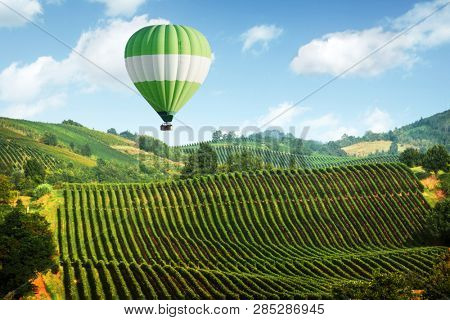 Amazing rural landscape with green balloon under vineyard on Italy hills. Vine making background