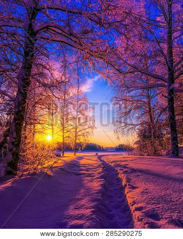 Naturepath Frost Finland Colorful Nature Naturephotography Photography Landscape