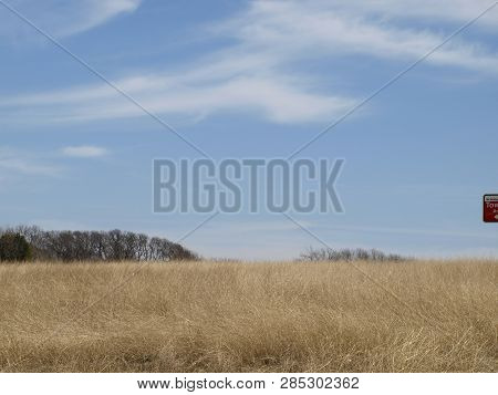 Tall Prairie Grass Rising Upward On A Hill Side Of Tree Lines With Blue Sky And Whispy Clouds. Copy 