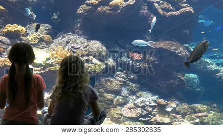 Children Identify Fish In A Large Public Aquarium