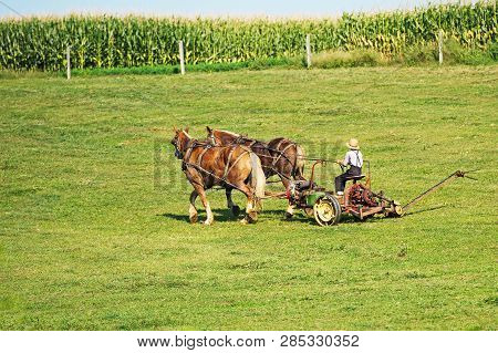 An Amish Farmer On A Horse And Buggy Working Farm