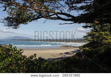 Pacific Ocean View Through Forest, Taken On Vancouver Island, Pacific Rim National Park