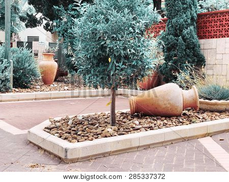 Outside The Street Surrounded With Green Plants With Ceramic Jugs  In  Rishon Le Zion.