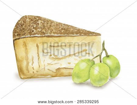 Hand Drawn Seamless Pattern With Cheese  On White Background. Vegetarian Healthy Food. Watercolor Il