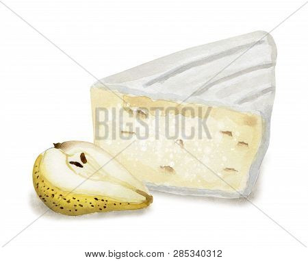 Hand Drawn Cheese Compositions With Addings Isolated On White Background. Vegetarian Healthy Food. W