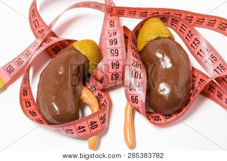 Measurement Of Kidneys And Adrenal As Definition Of Symptom Or Sign Of Disease E.g. Enlarged Kidneys