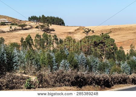 Landscape View On The Road From Gondar To The Simien Mountains, Noth Ethiopia, Africa.