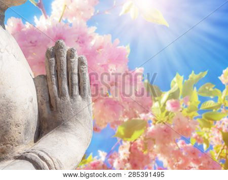 Hand Gestures Of Sun Salutations Namaskara By Buddha On Background Of Blossom Japanese Apple . Conce