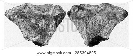 Eolith of Rudersdorf, front and rear, vintage engraved illustration. From the Universe and Humanity, 1910.