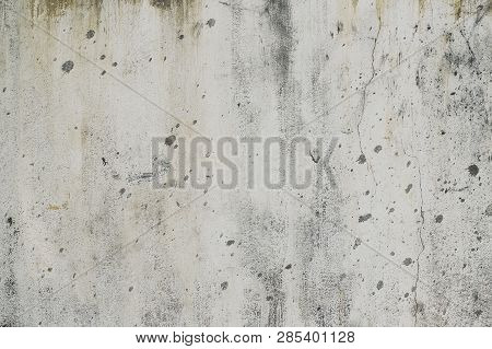 White Texture As Background And Image Photo