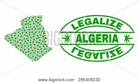 Vector Cannabis Algeria Map Collage And Grunge Textured Legalize Stamp Seal. Concept With Green Weed